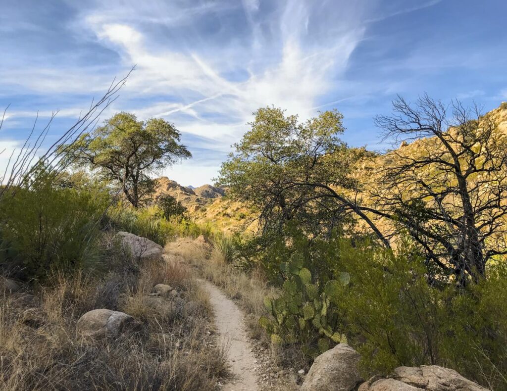Explore Arizona Best Hiking And Outdoor Destinations